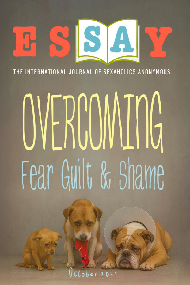 Overcoming Fear Guilt and Shame_Covers